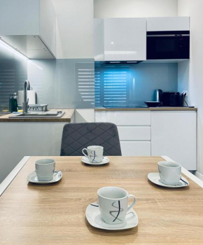 Modern Silver Apartment